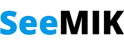 SeeMIK software